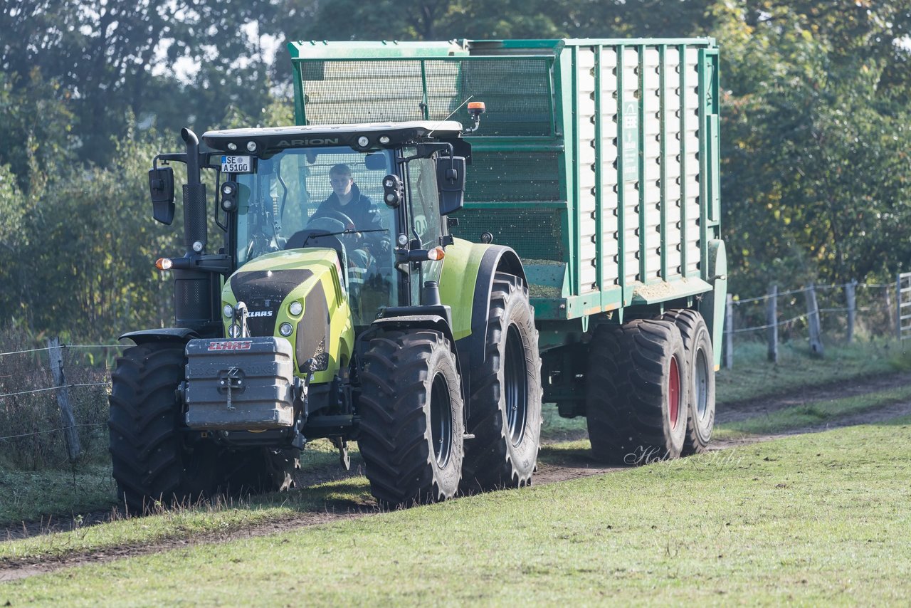 Bild 161 - Maisernte